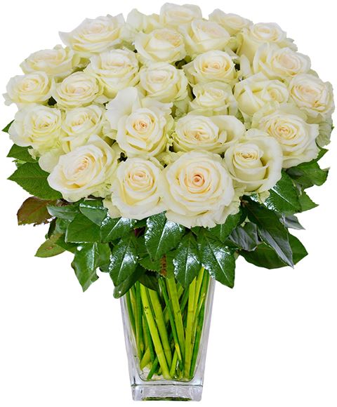 Regala Un Mazzo Di Rose Bianche Con Verde In Bella Confezione Consegna In Tutti Italia