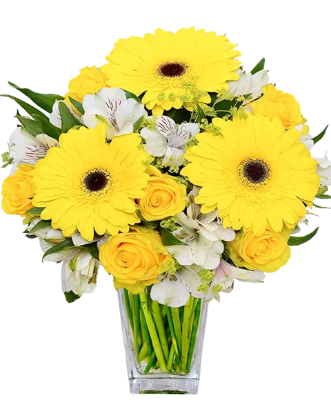 Bouquet sul giallo