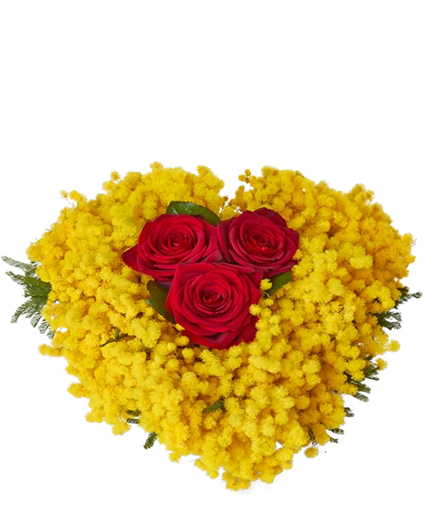 Cuore di Mimosa